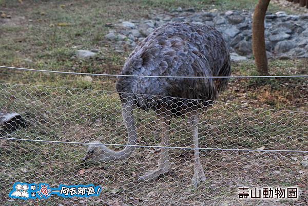 高雄壽山動物園20140102J-139.jpg