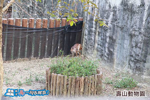 高雄壽山動物園20140102J-144.jpg