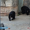 高雄壽山動物園20140102J-154.jpg