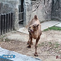 高雄壽山動物園20140102J-187.jpg