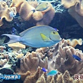 20140314-012.jpg