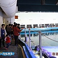 20140314-074.jpg