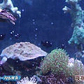 20140314-178.jpg