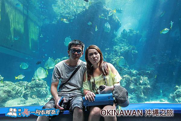 日本沖繩之旅-沖繩美麗海水族館