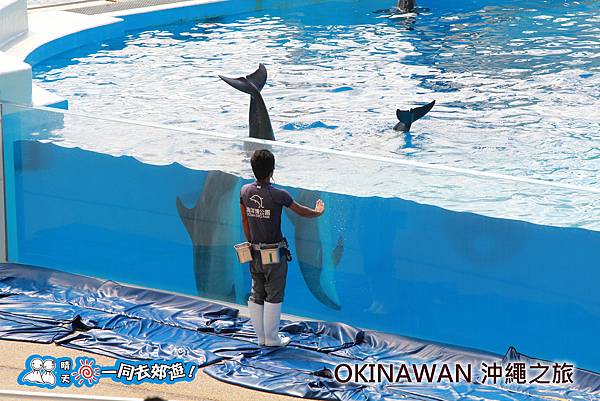 日本沖繩之旅-沖繩美麗海水族館