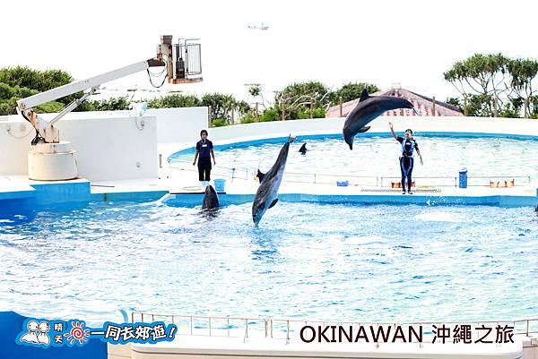 日本沖繩之旅-沖繩美麗海水族館