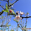 20120202_107.jpg