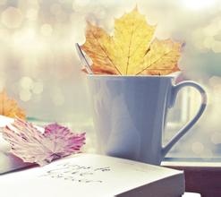 u=3169399988,1353699966&fm=21&gp=0