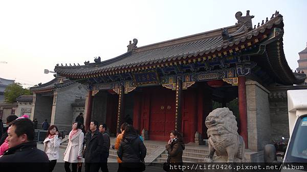 P1220877.JPG