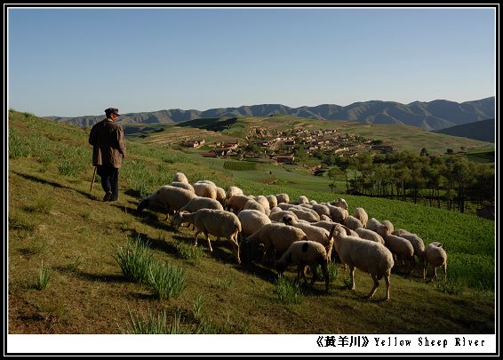 d10_yellow_sheep_river_01.jpg d10_yellow_sheep_river_01.jpg