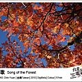 《森之歌》 Song of the Forest