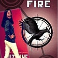 Catching Fire 2