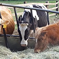 20161217_161735.jpg