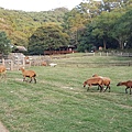 20161217_163056.jpg