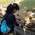 20161218_150457.jpg