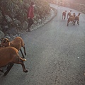 20161218_154451.jpg