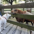 20161218_151509.jpg