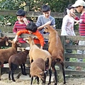 20161218_154947.jpg