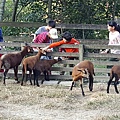 20161218_154955.jpg