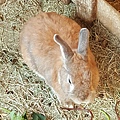 20161218_160657.jpg