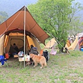 IMG_6851.JPG