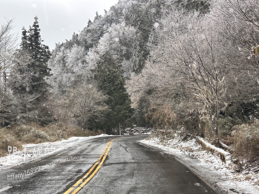 2024太平山追雪