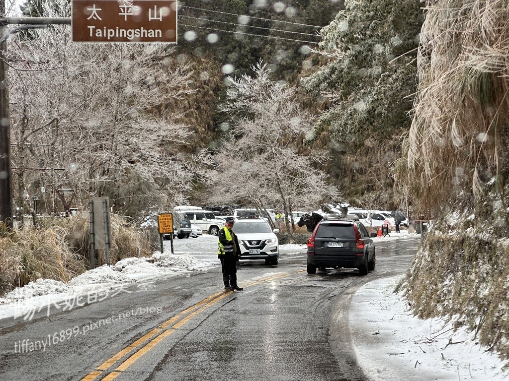 2024太平山追雪