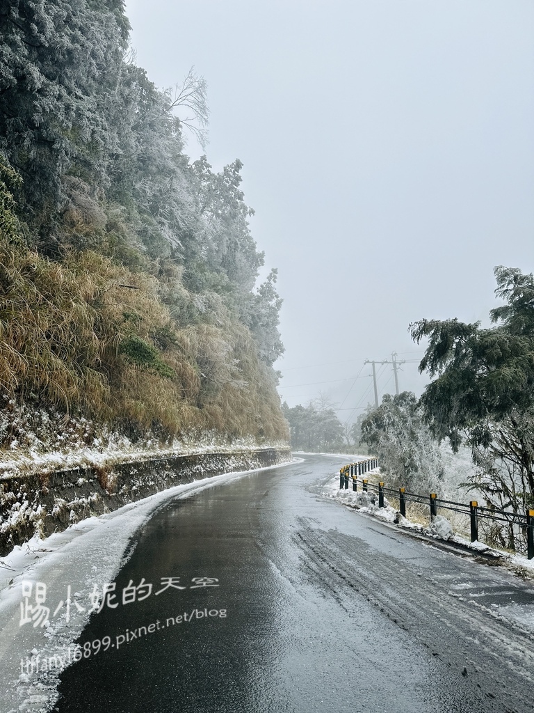 2024太平山追雪