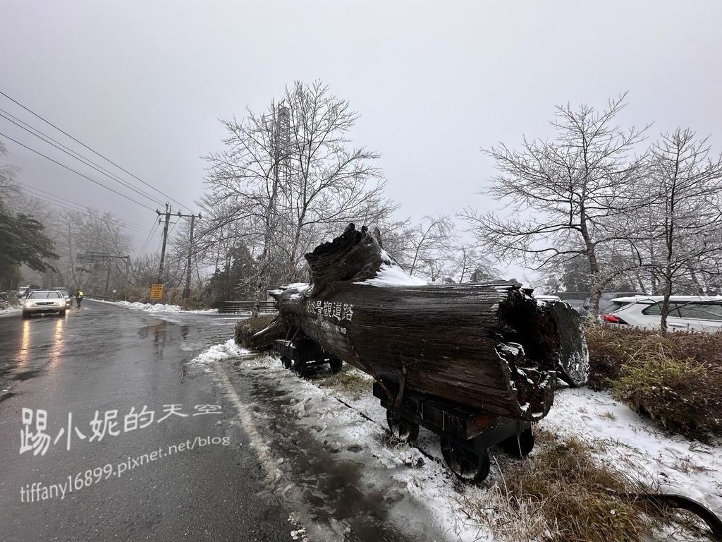 2024太平山追雪