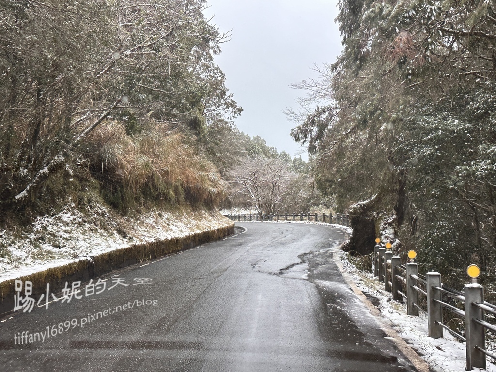 2024太平山追雪