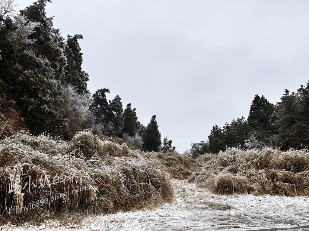 2024太平山追雪