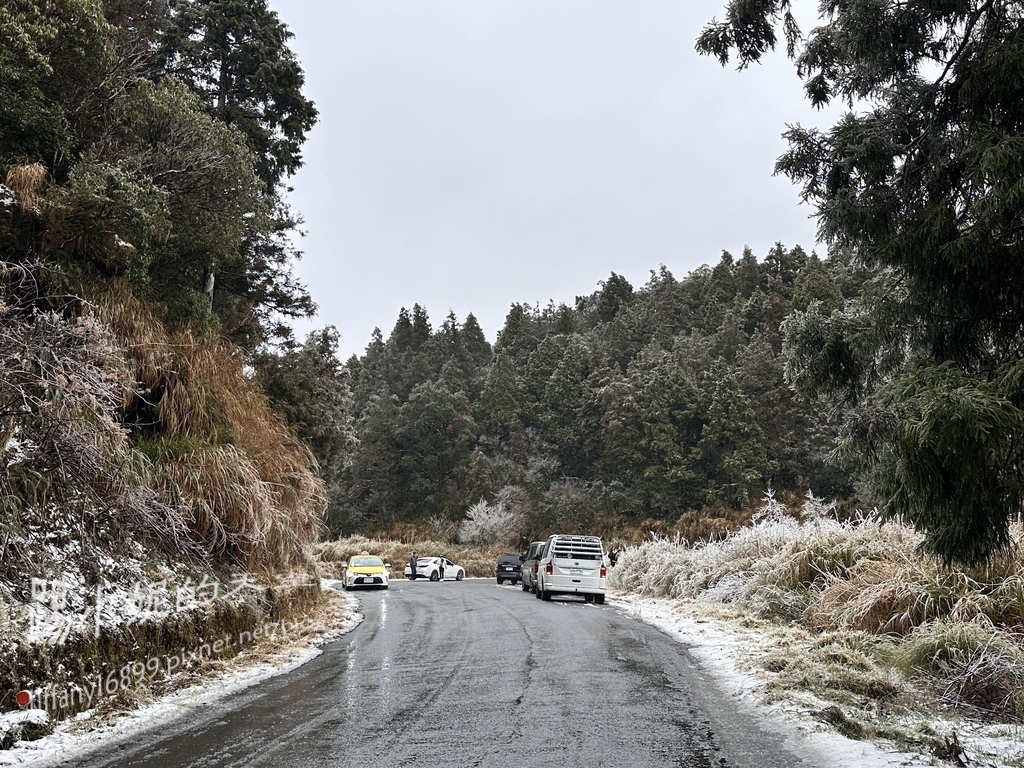 2024太平山追雪