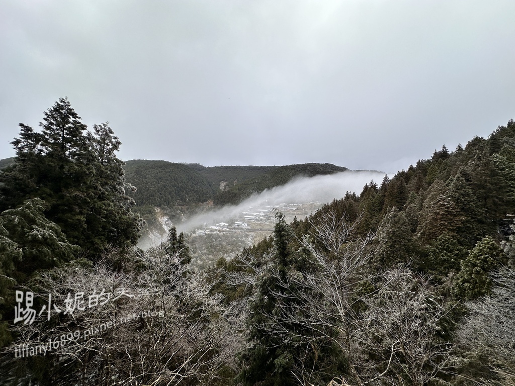 2024太平山追雪