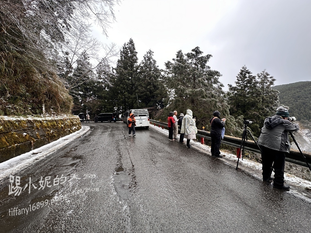 2024太平山追雪