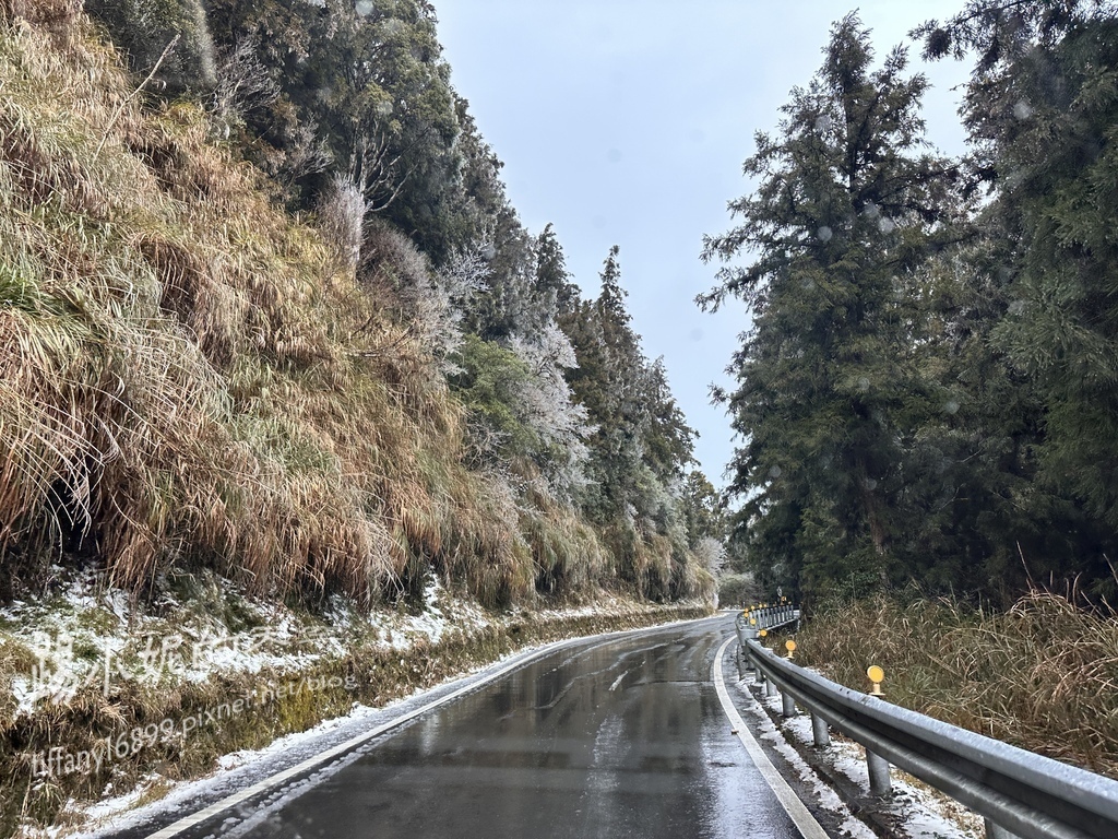 2024太平山追雪