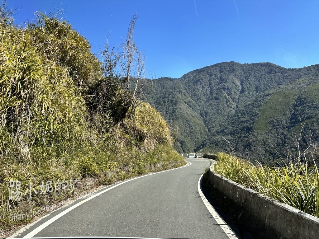 司馬庫斯賞櫻花巨木群步道