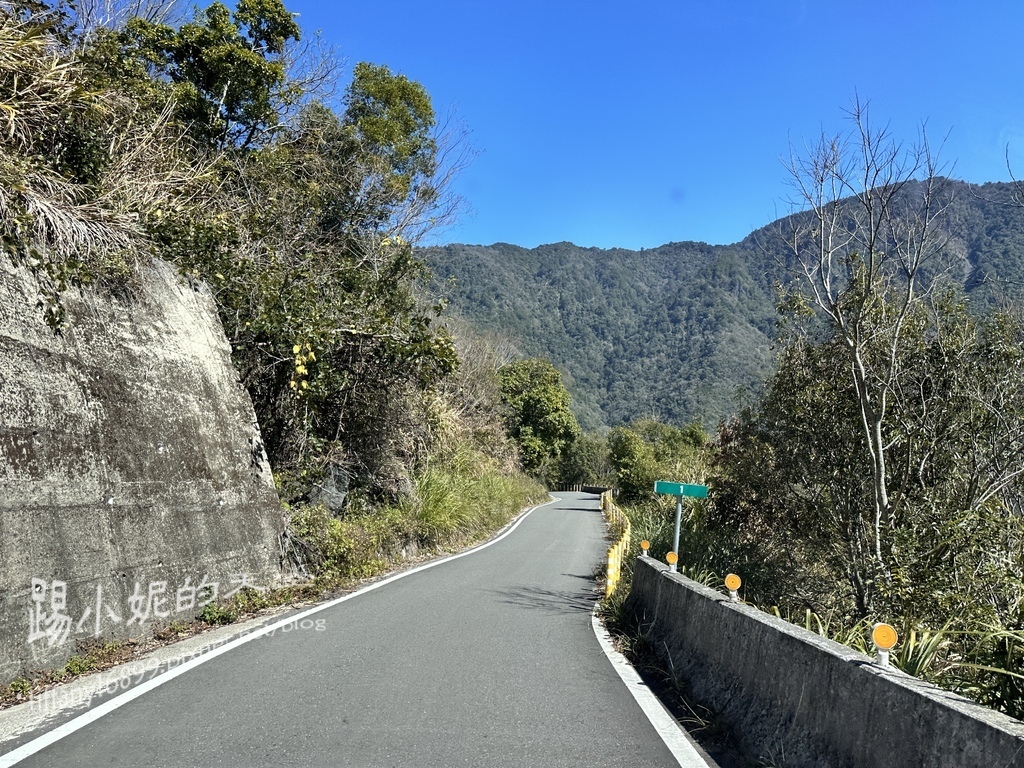 司馬庫斯賞櫻花巨木群步道