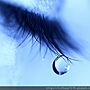 blue-tear-wallpapers_13598_1280x960