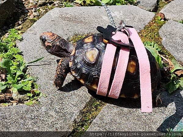 多 20230402_133619.jpg