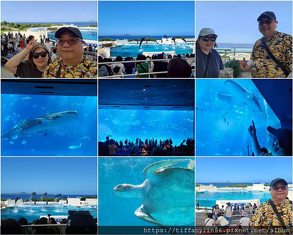 【日本沖繩】美麗海水族館黑潮之海鯨鯊迷人又震撼, 海洋博公園