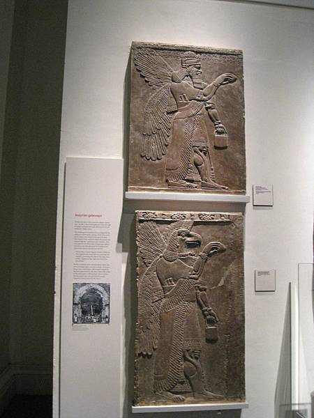 IMG_0418 IMG_0418