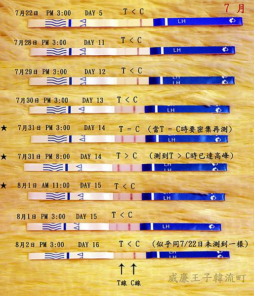 7月排卵試紙排卵記錄-01