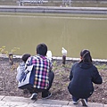 DSC00606.JPG