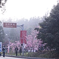 DSC00596.JPG