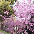 DSC00595.JPG