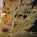 DSC00751.JPG