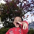 DSC00571.JPG