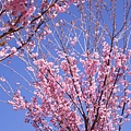 DSC00801.JPG