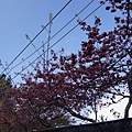 DSC00569.JPG