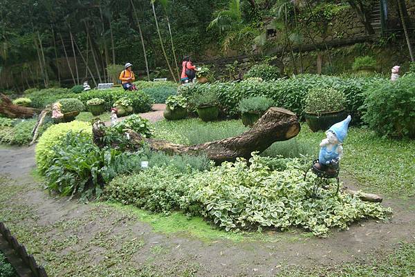 樂活熊和草園.JPG